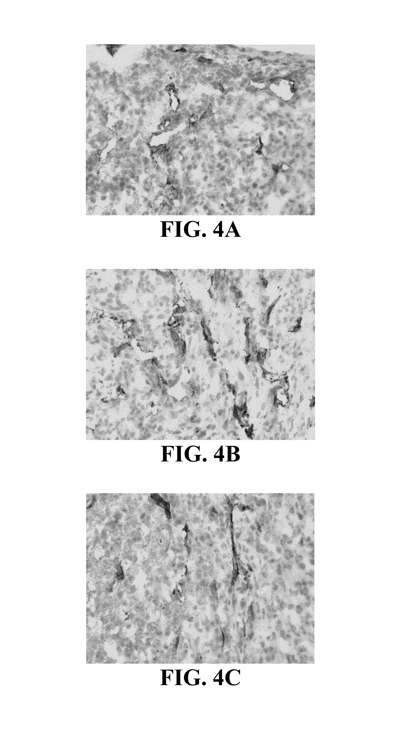 Pharmaceutical compositions comprising perillyl alcohol derivatives