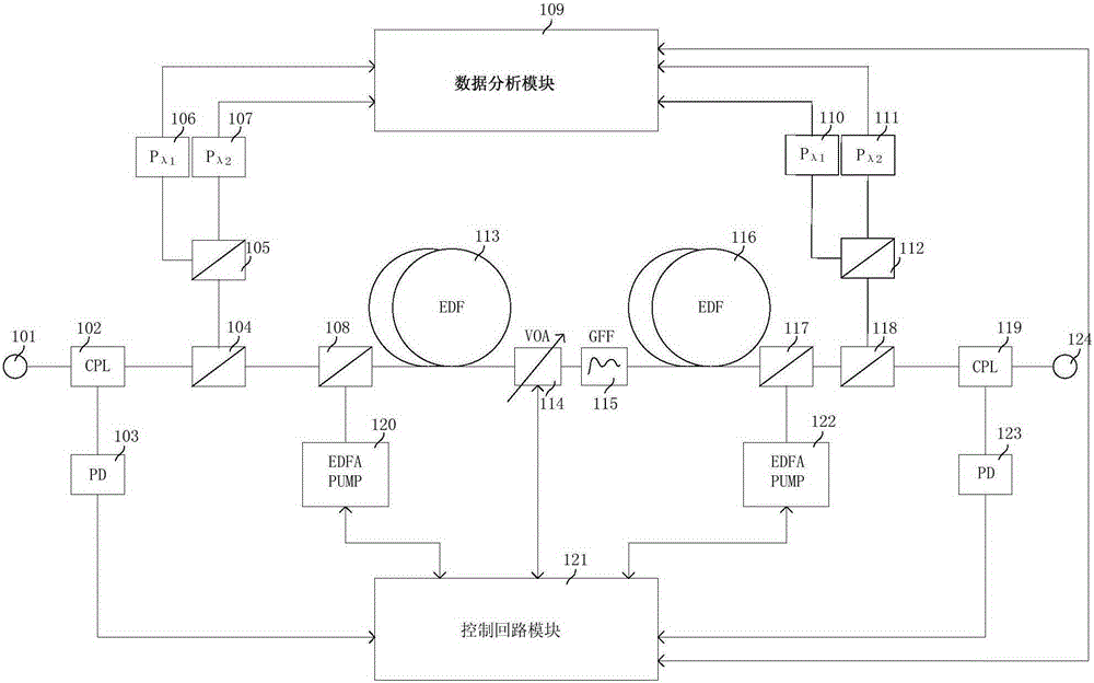 Erbium doped fiber amplifier real time detection system