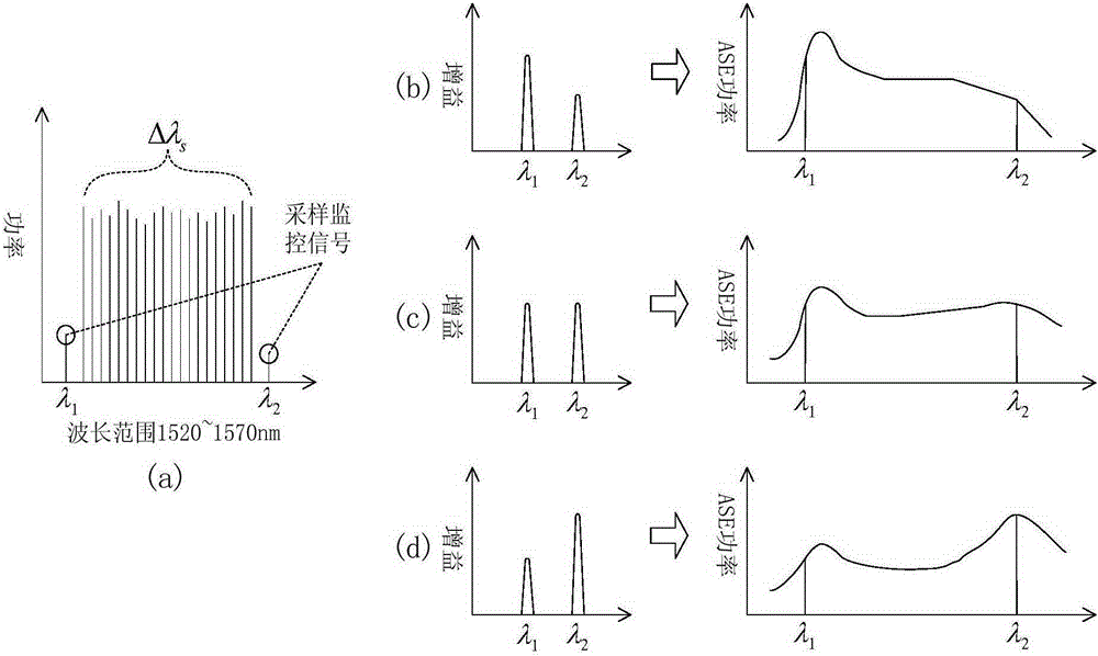 Erbium doped fiber amplifier real time detection system