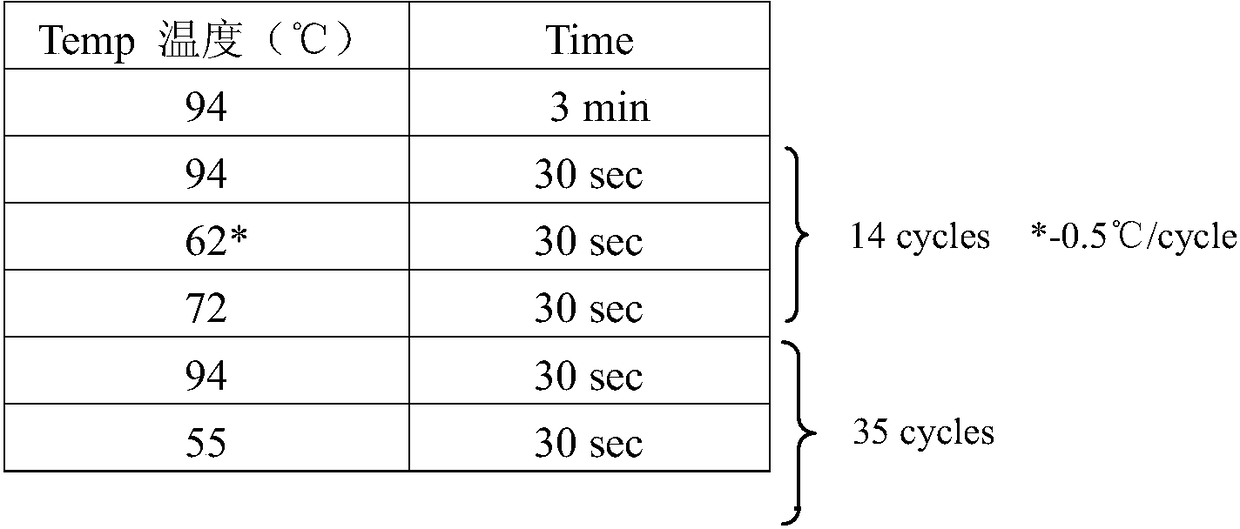 The application of braf gene detection material in the preparation of acth type pituitary adenoma molecular pathological diagnosis and typing products