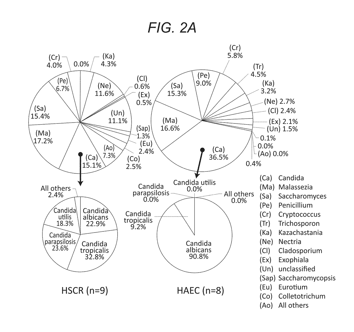 Antifungal therapy for the treatment of hirschsprung-associated enterocolitis