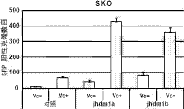 Method for improving inductive generation efficiency of induced pluripotent stem cells