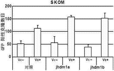 Method for improving inductive generation efficiency of induced pluripotent stem cells