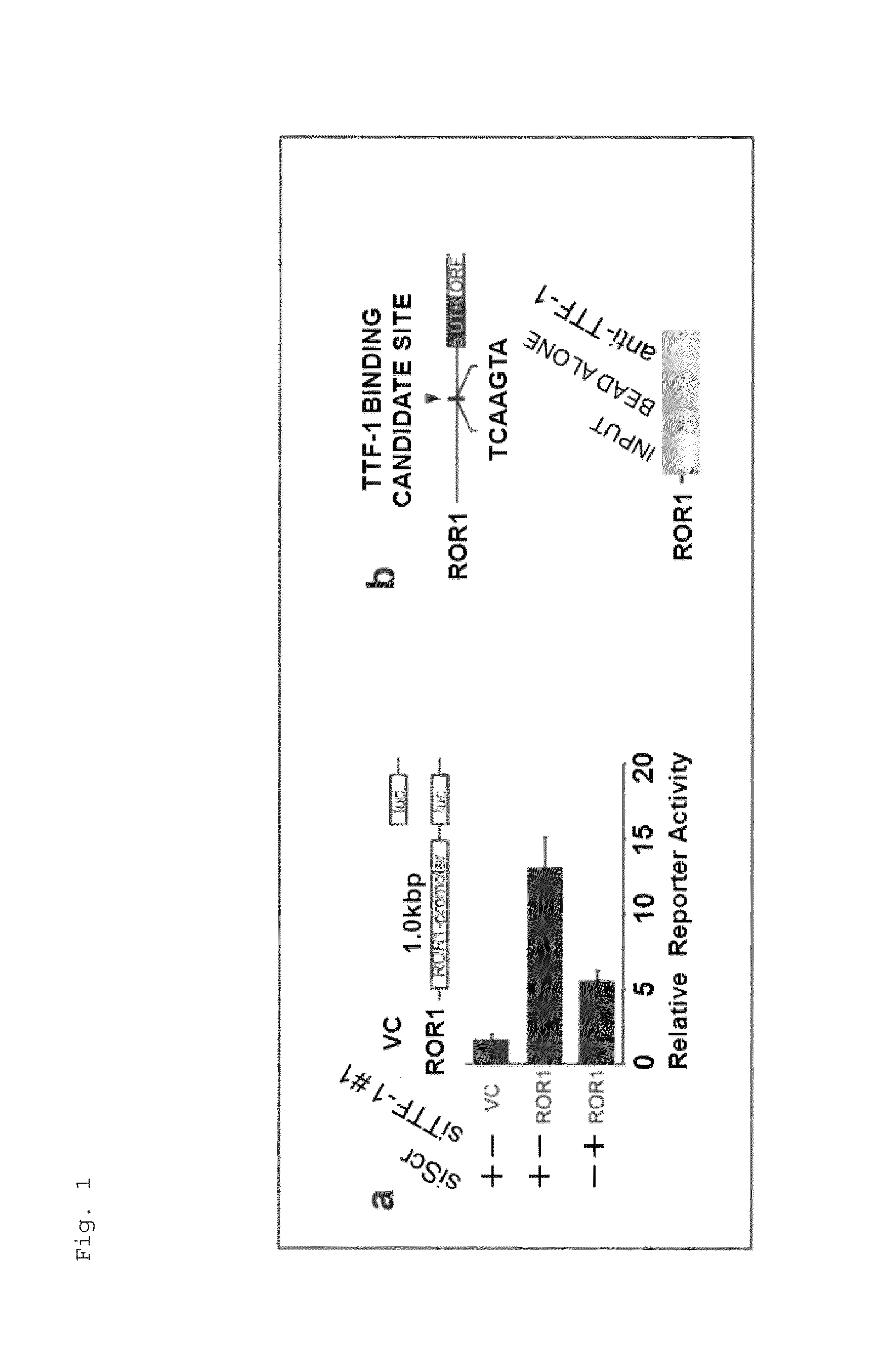 Method for suppressing receptor tyrosine kinase-mediated pro-survival signaling in cancer cell