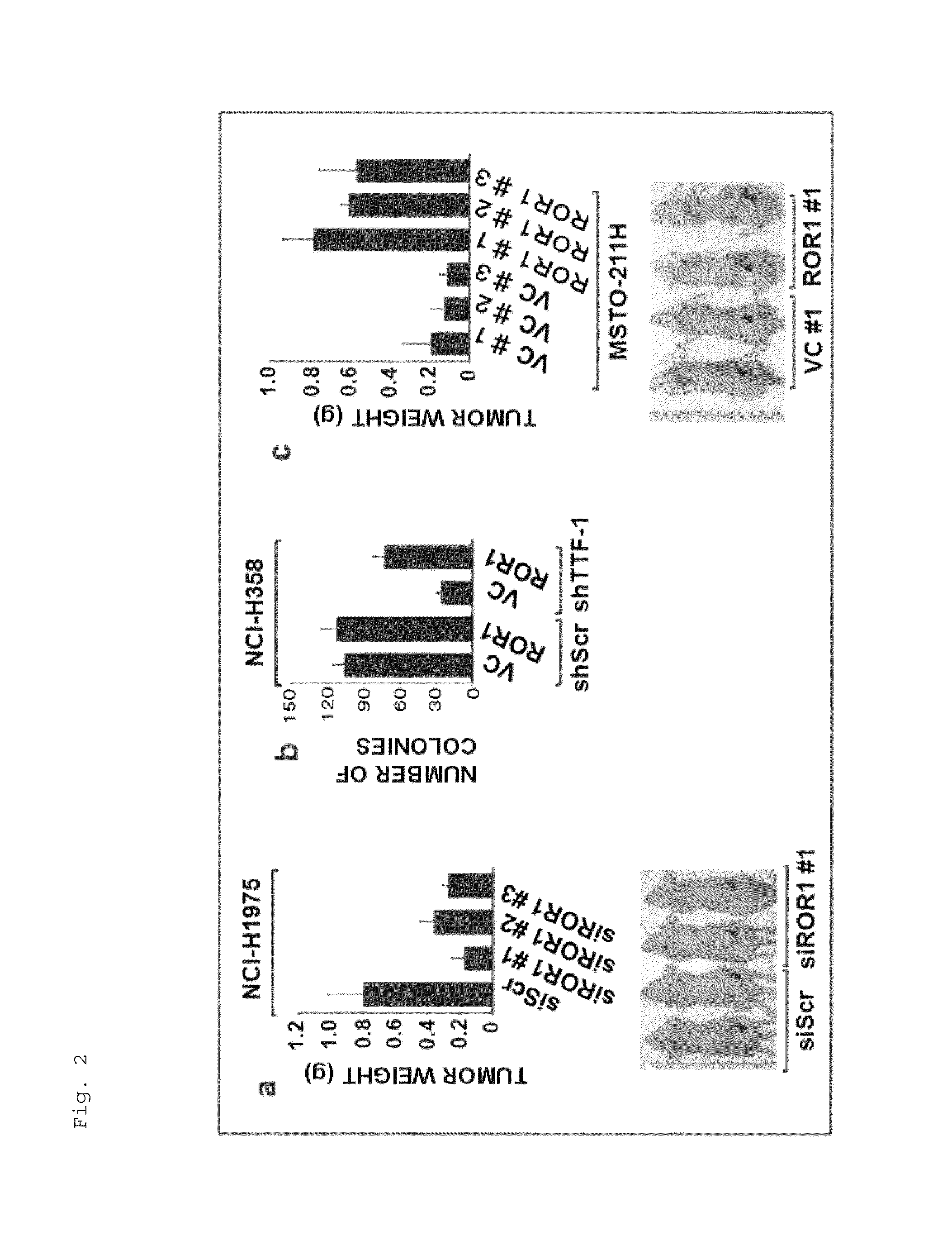 Method for suppressing receptor tyrosine kinase-mediated pro-survival signaling in cancer cell