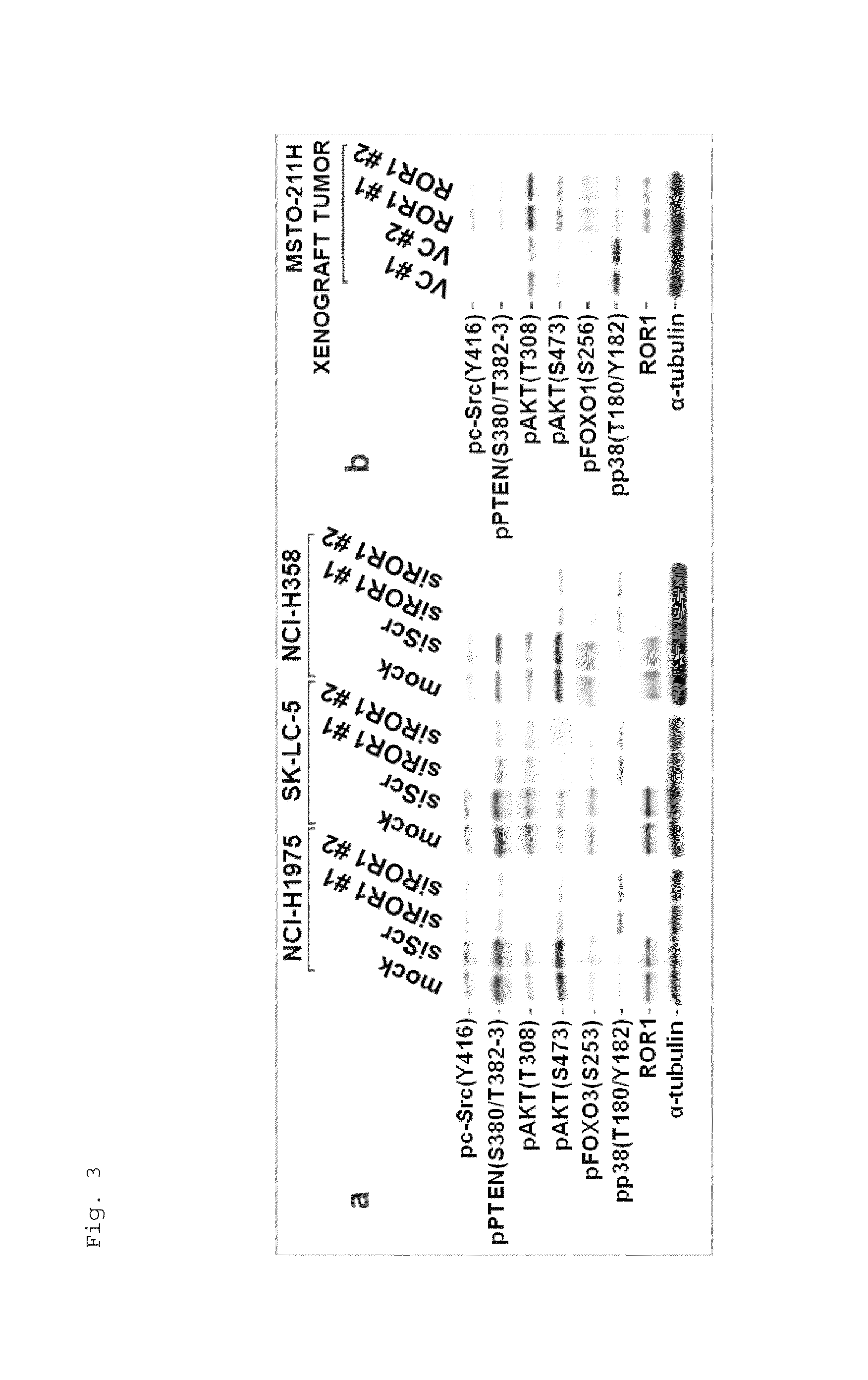 Method for suppressing receptor tyrosine kinase-mediated pro-survival signaling in cancer cell