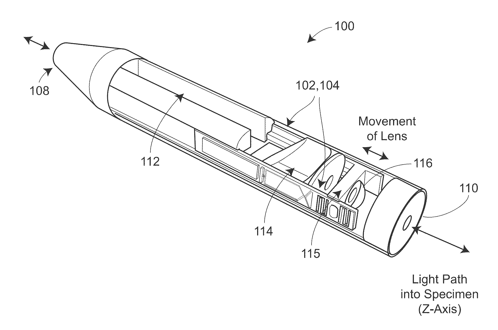 Two-photon endoscopic scanning assembly for inflammatory disease detection