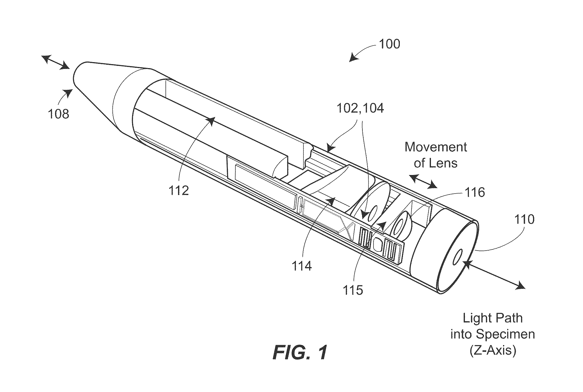 Two-photon endoscopic scanning assembly for inflammatory disease detection