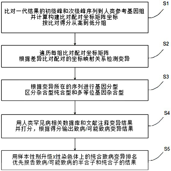 Method and system for rapidly obtaining rare disease pathogenic site