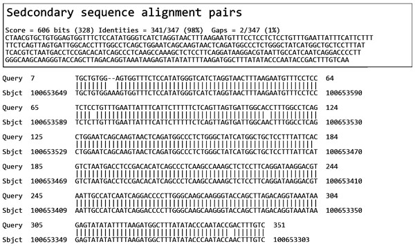 Method and system for rapidly obtaining rare disease pathogenic site