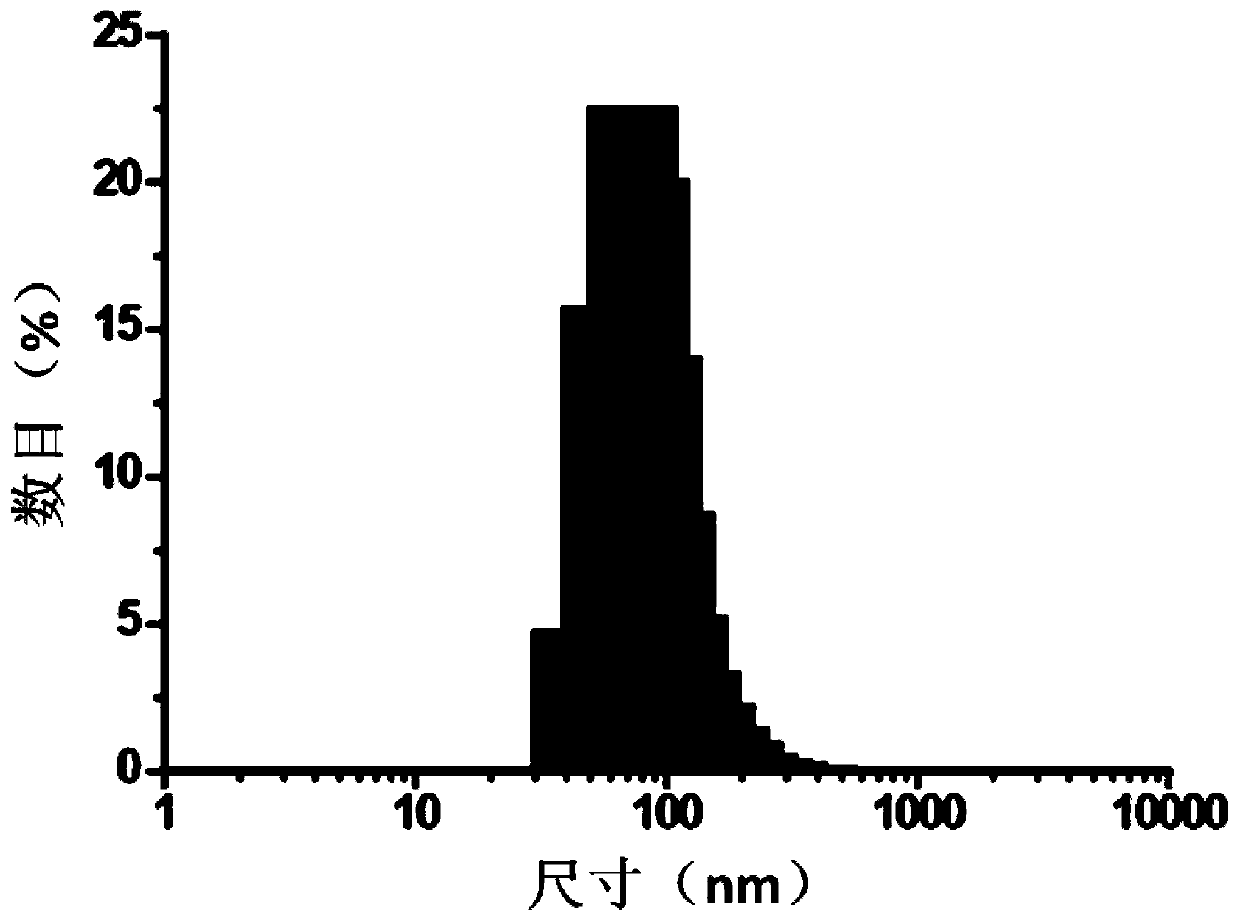 Drug-loaded nano-composite, preparation method thereof and application of nano-composite