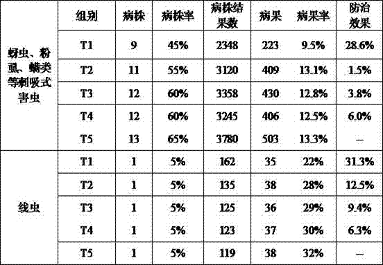 High-concentration compound microbial fertilizer prepared by tower-type melt granulation and preparation method thereof