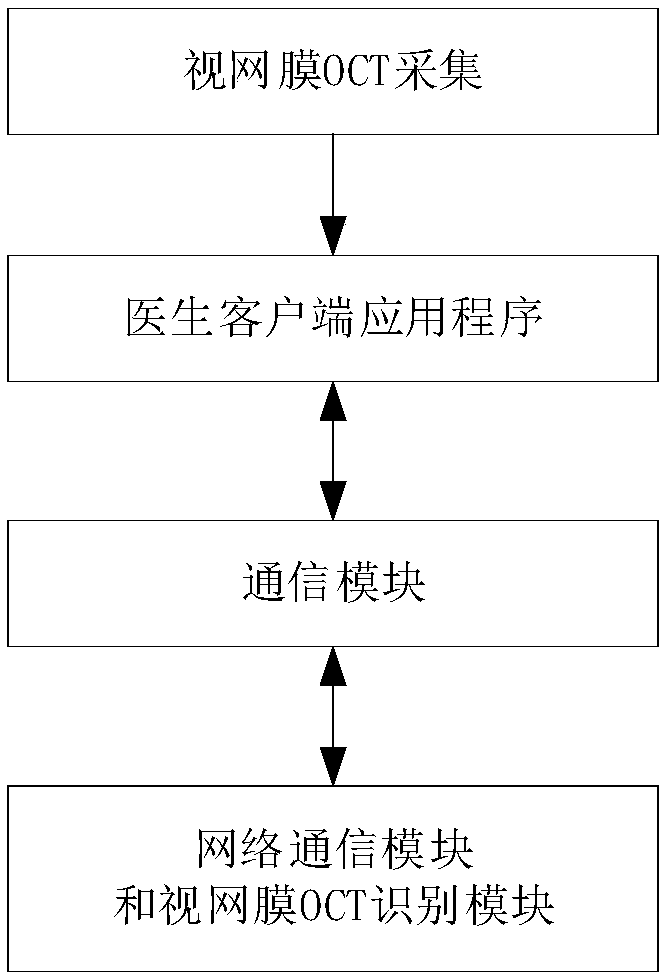 A cloud retina OCT recognition intelligent diagnosis system based on a software and hardware platform and a use method thereof