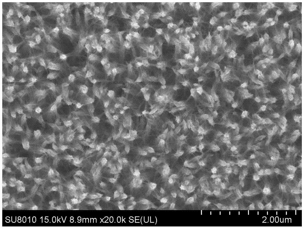 A kind of preparation method of the photoelectrode of photoelectrochemical cell