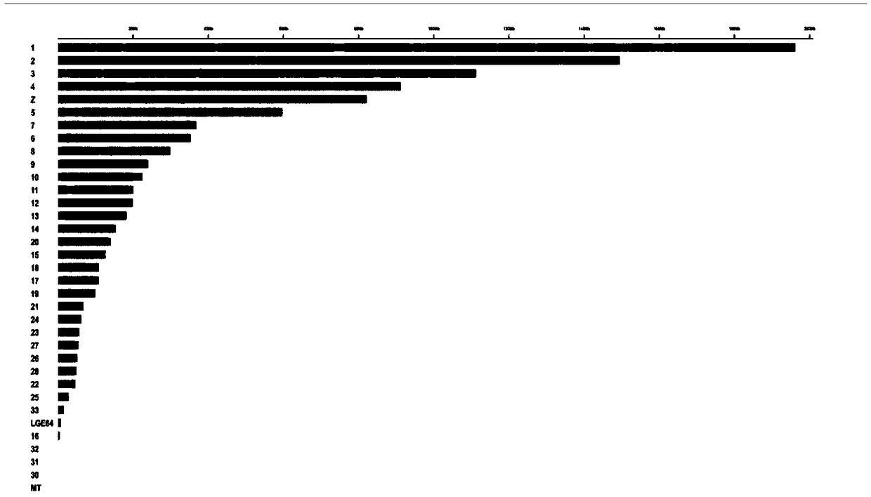 Method for screening molecular marker of Jinhu black-bone chickens and application of molecular marker