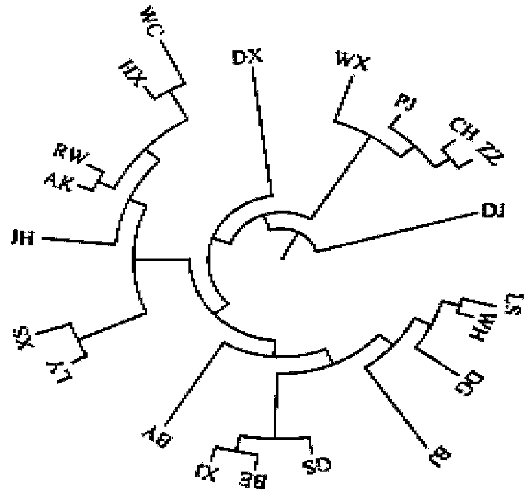 Method for screening molecular marker of Jinhu black-bone chickens and application of molecular marker