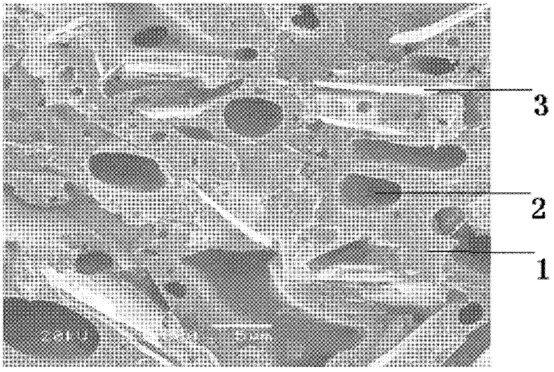 A thermoplastic polymer-based thermally conductive composite material and its preparation method