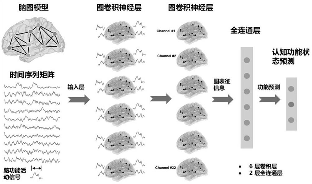 Graph model-based brain function registration method