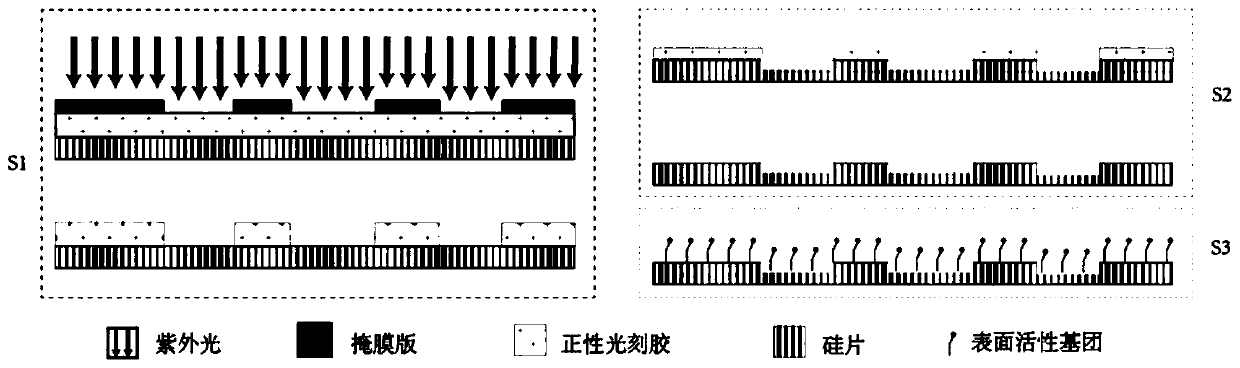 Micro-fluidic chip and whole blood separation method based on micro-fluidic chip