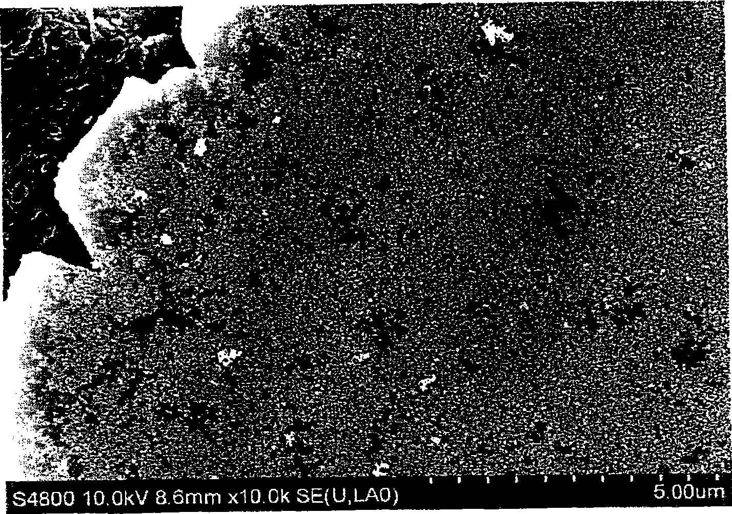 Colored metallic pigment, process for producing the same, and coating composition and cosmetic preparation comprising said colored metallic pigment