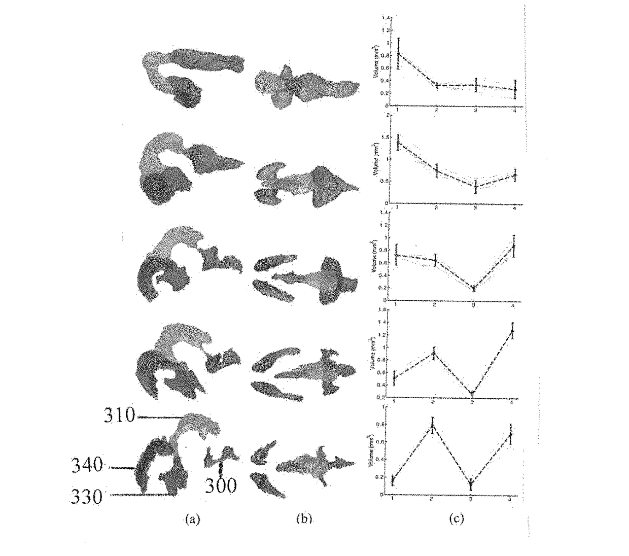 Method for gestational age estimation and embryonic mutant detection