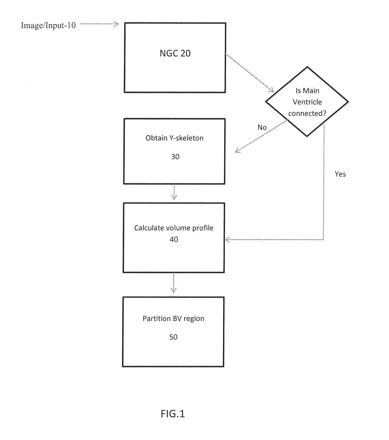 Method for gestational age estimation and embryonic mutant detection