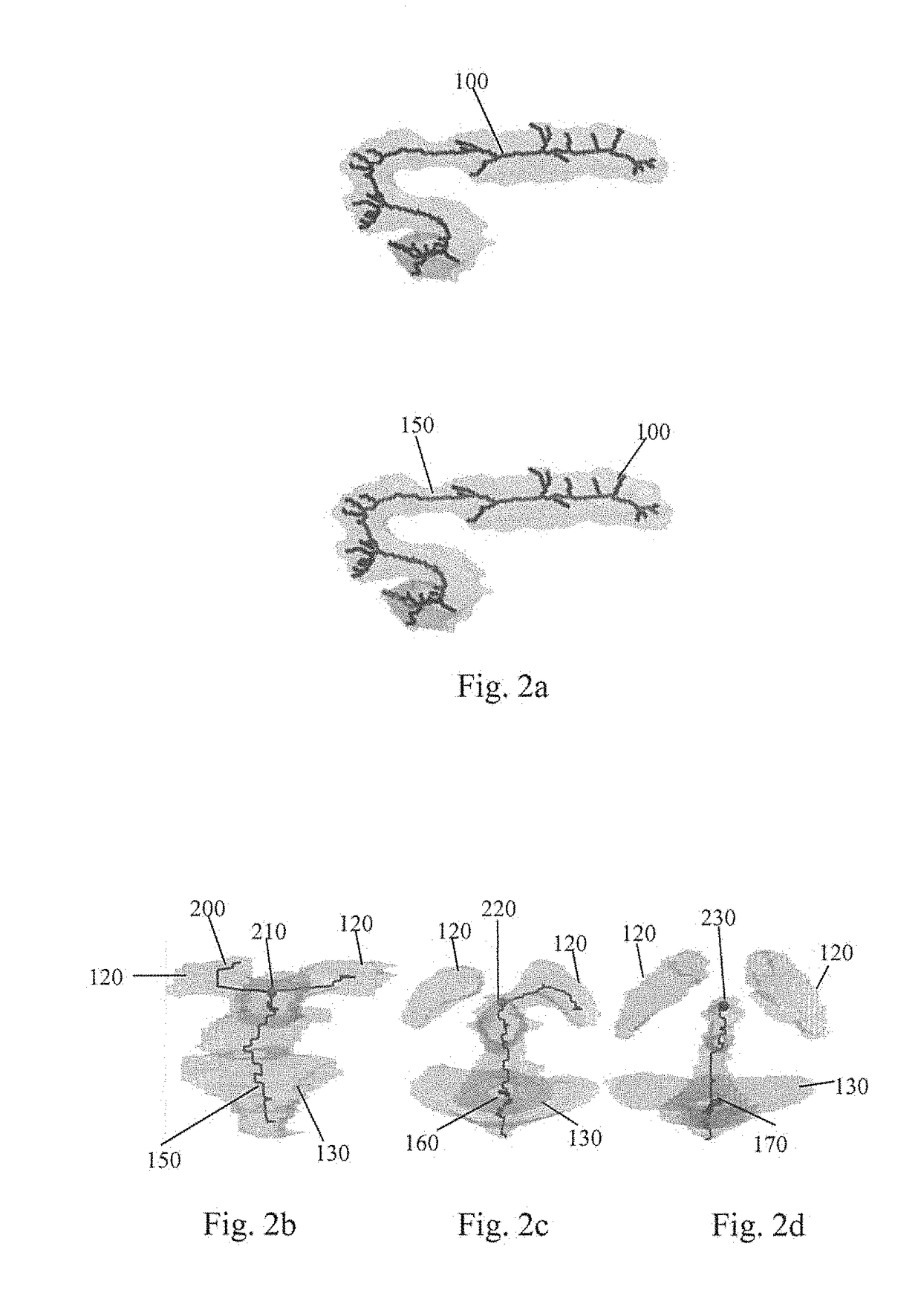 Method for gestational age estimation and embryonic mutant detection