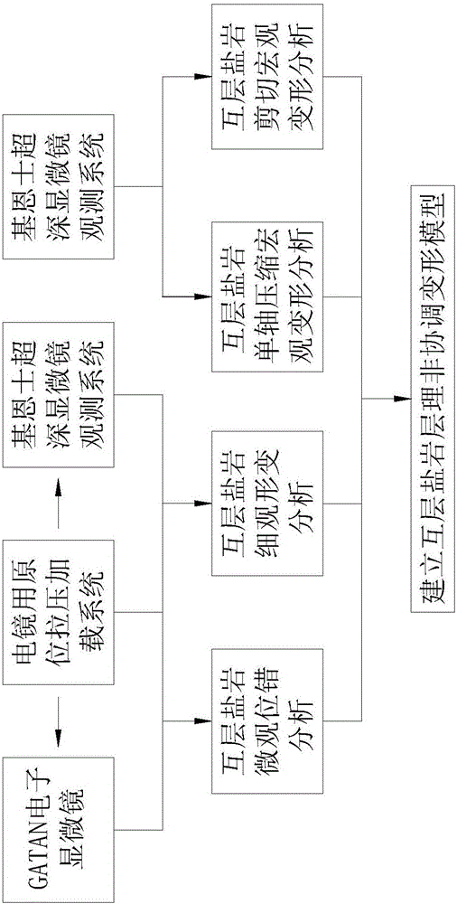 Multiscale measuring method for incompatible deformation of bedding microstructure of interbedded rock