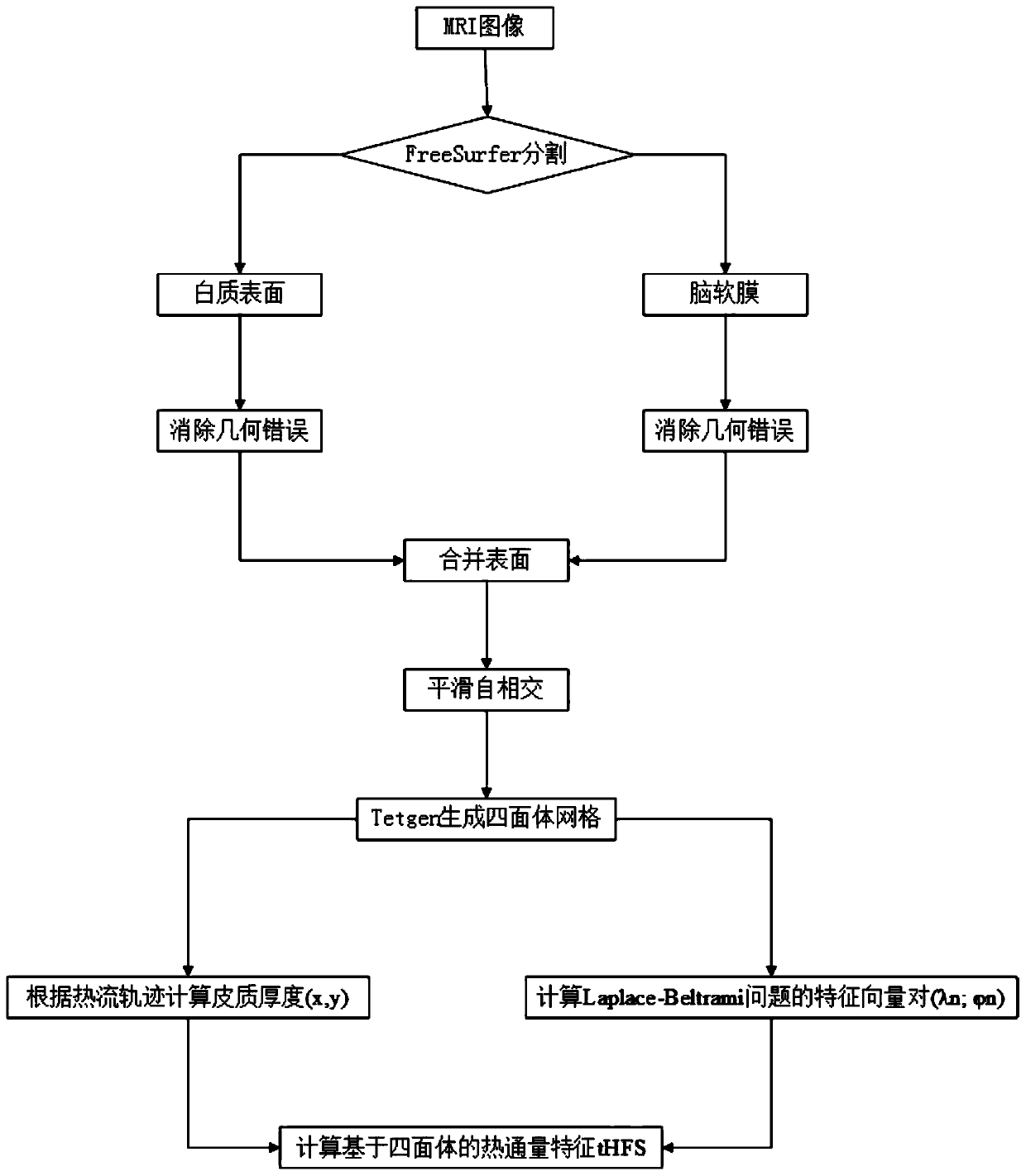 Depression recognition system fusing cerebral cortex thickness and edge system morphological features