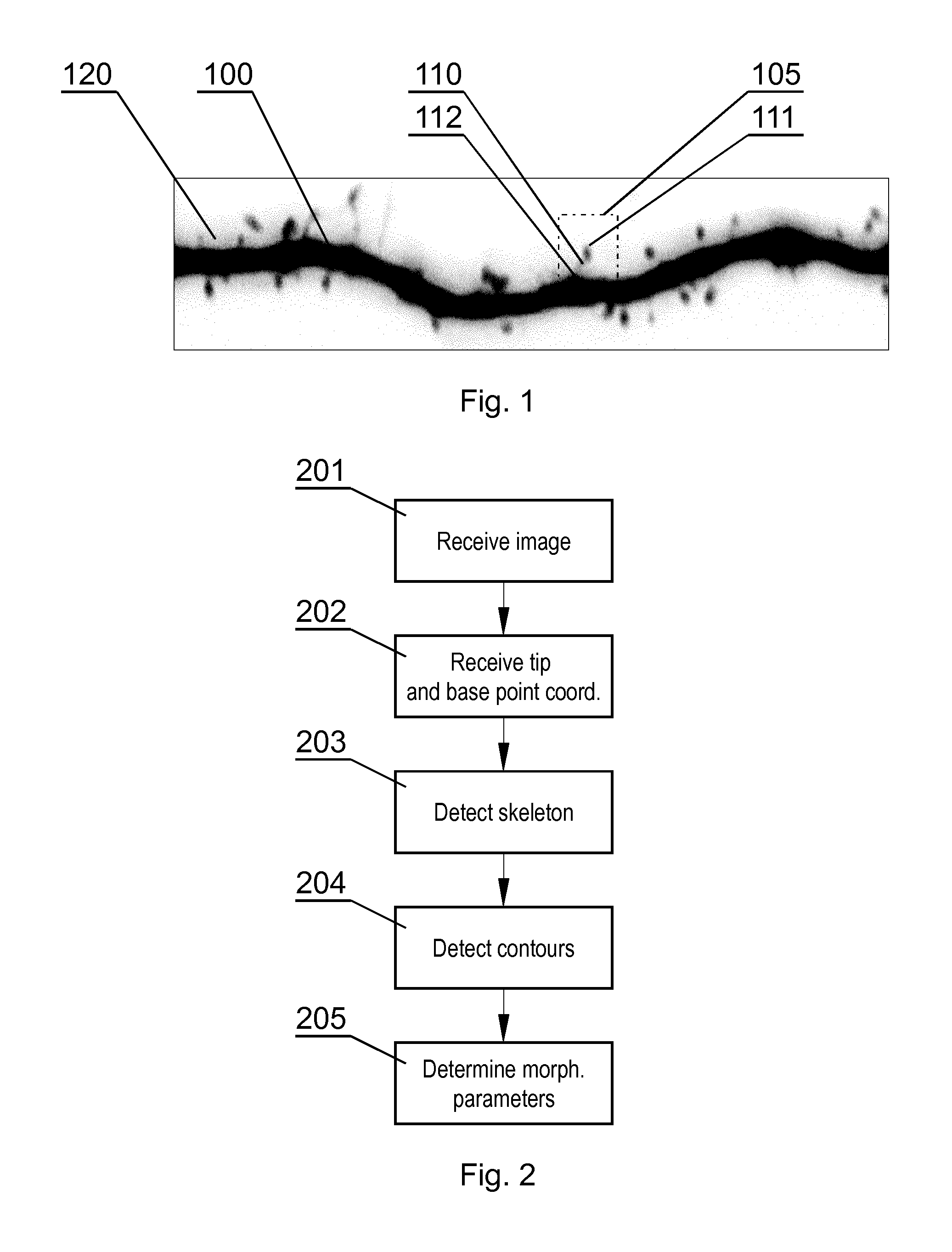 Method and a system for processing an image comprising dendritic spines