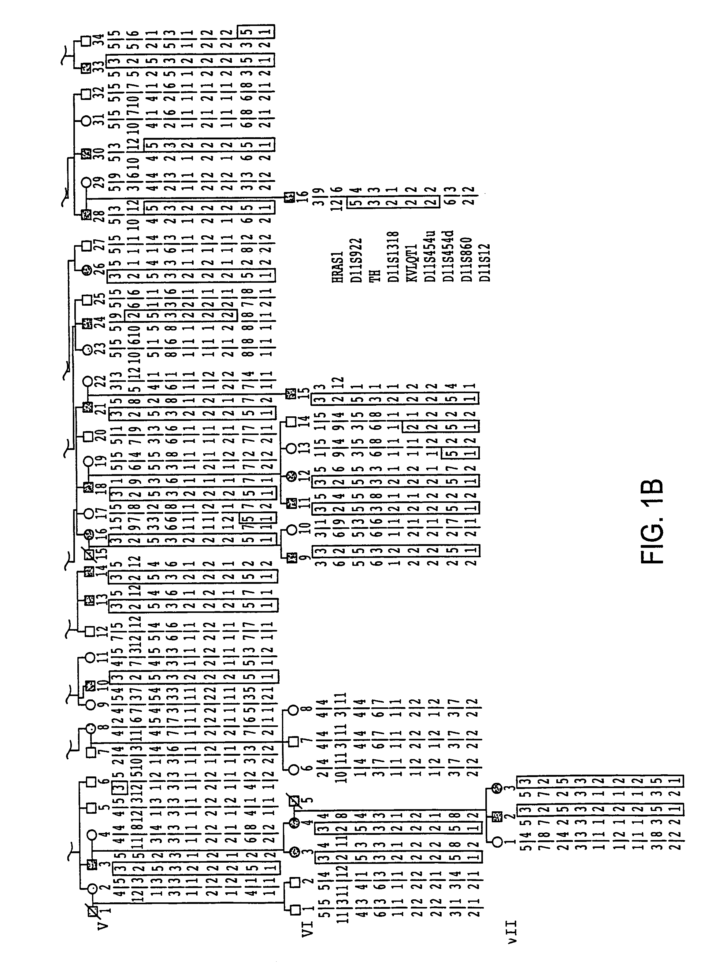 Mutations in the KCNE1 gene encoding human minK which cause arrhythmia susceptibility thereby establishing KCNE1 as an LQT gene