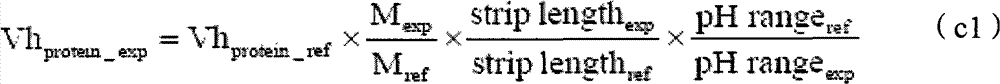 Method for improving measurement accuracy through two-dimensional protein electrophoresis