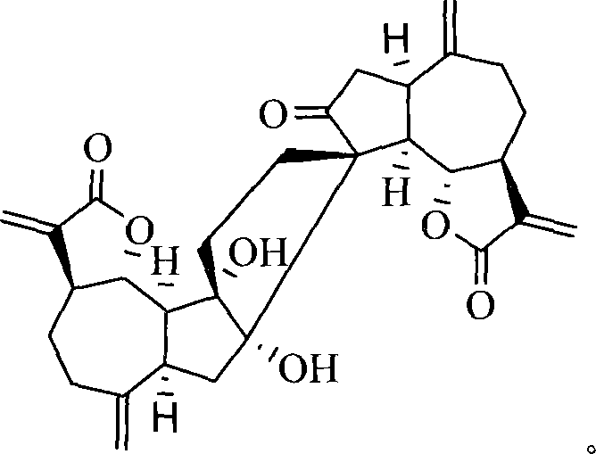 Dimeric ainsliaea terpene A, preparation and application thereof