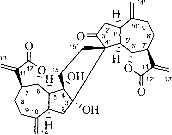 Dimeric ainsliaea terpene A, preparation and application thereof