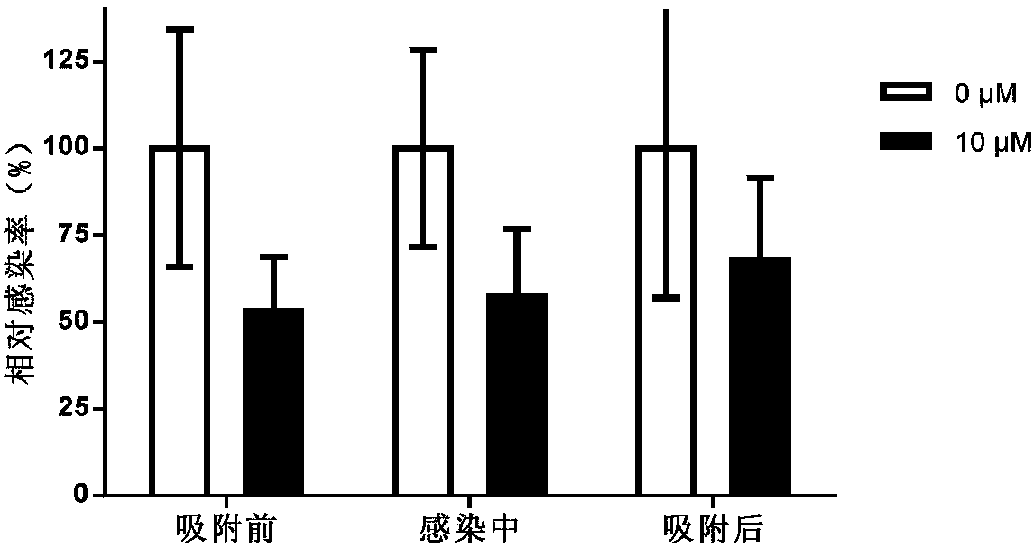 Small molecule inhibitor of Ebola pseudovirus