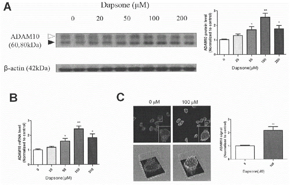 Application of dapsone to preparation of alpha-secretase enhancer