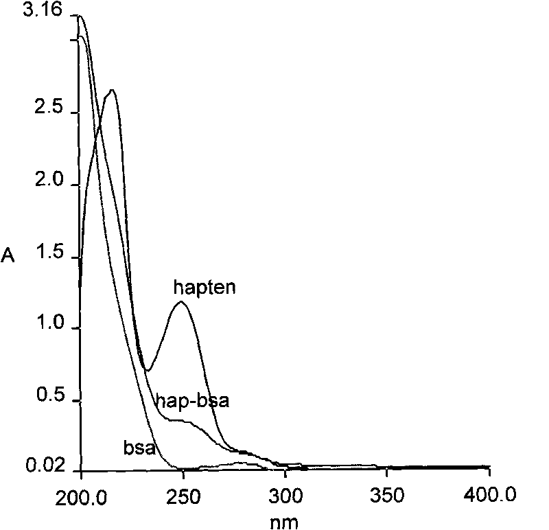 Polyclonal antibody of dimethachlon and preparation and application thereof