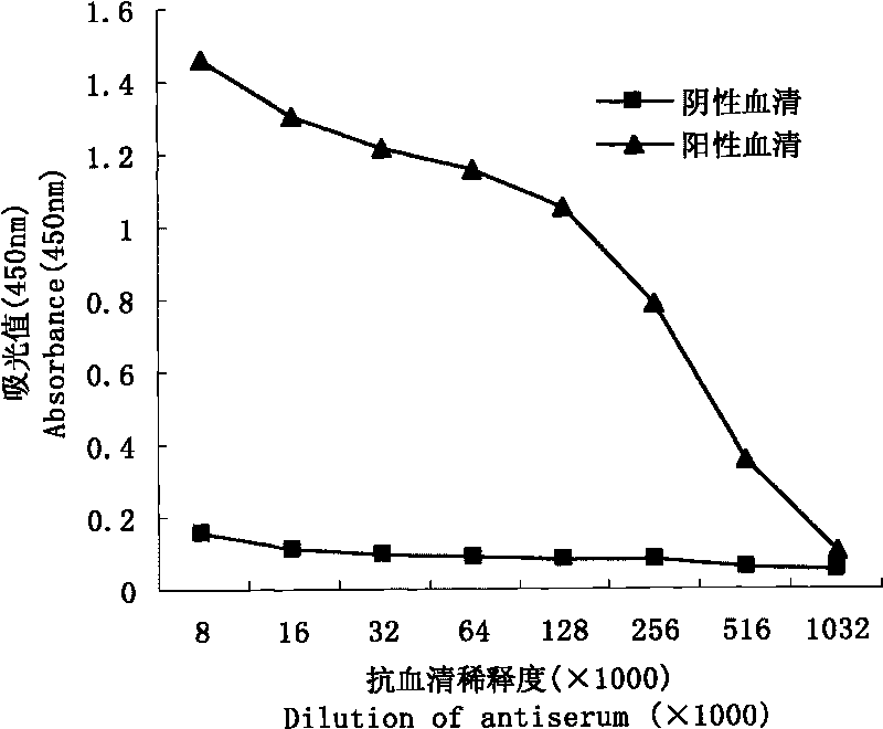 Polyclonal antibody of dimethachlon and preparation and application thereof