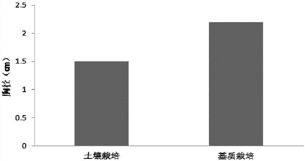 Soilless culture medium for grape and preparation method and application thereof