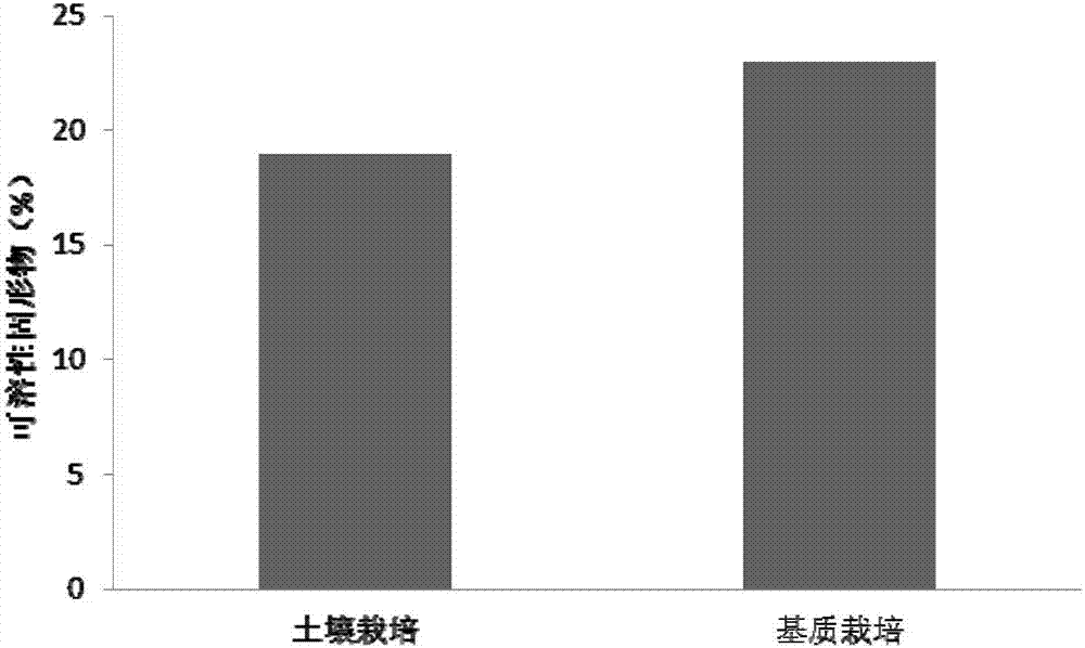 Soilless culture medium for grape and preparation method and application thereof