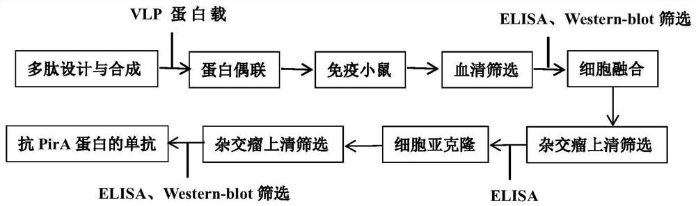 Monoclonal Antibody b and Application of Shrimp Hepatopancreatic Pathogenic Toxin Pira