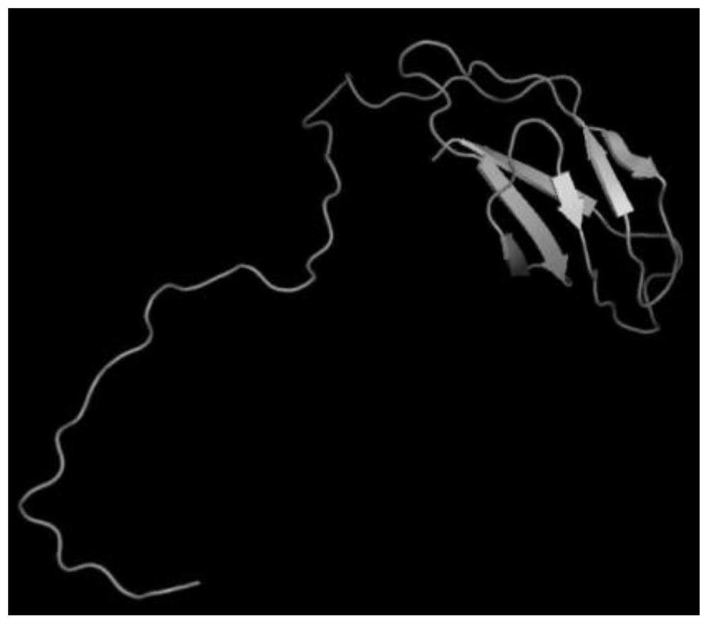 Monoclonal Antibody b and Application of Shrimp Hepatopancreatic Pathogenic Toxin Pira