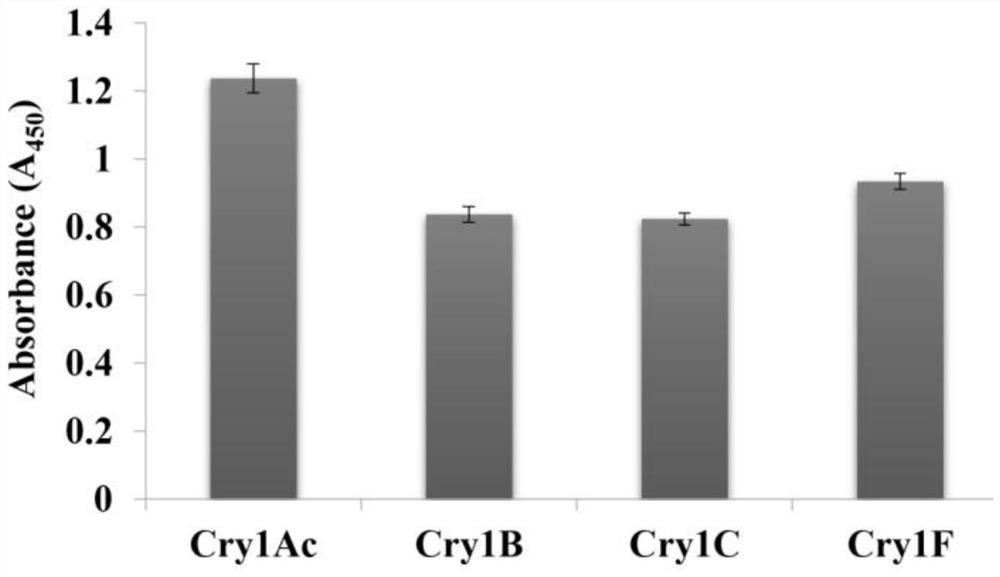 Single-domain antibody specifically bound with insect BBMV, recombinant antibody, coding gene, preparation method and application