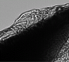 A kind of graphene-coated atomic force microscope probe and its preparation method and application