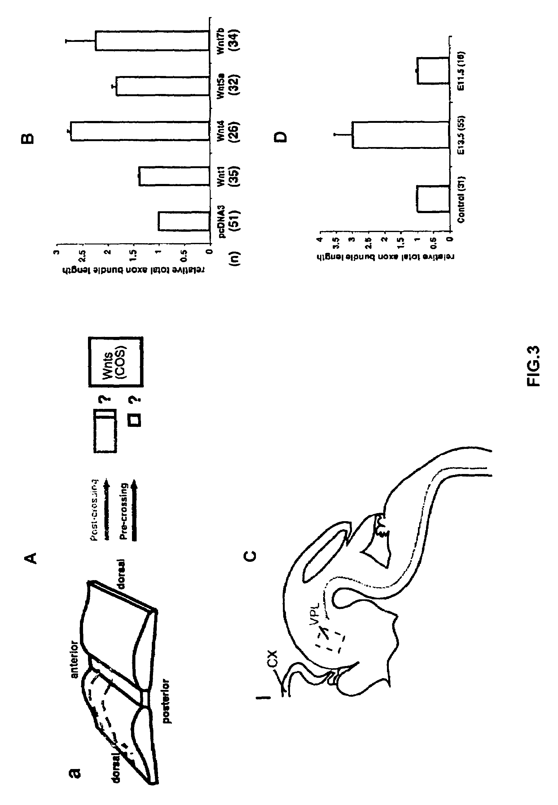 Methods and compositions for nerve regeneration