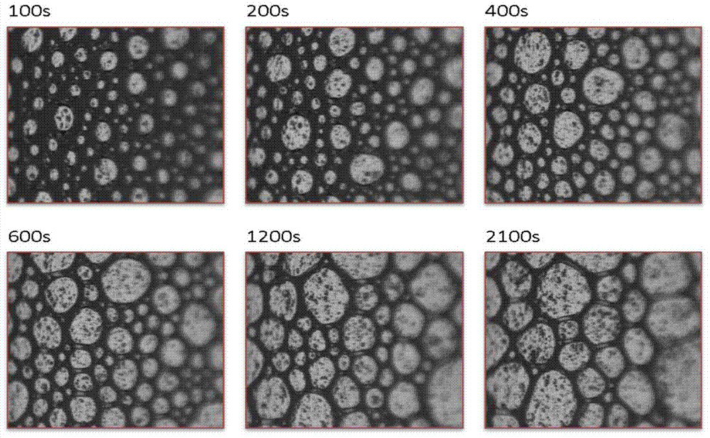 Environmentally friendly over-stable polyphase foam system and preparation method thereof