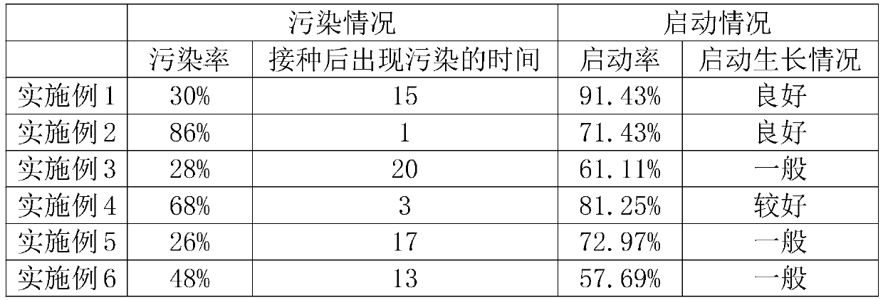 Sterilization method for increasing tissue culture starting rate of Litsea coreana Levl. var. lanuginose (Migo) Yanget P. H. Huang explants