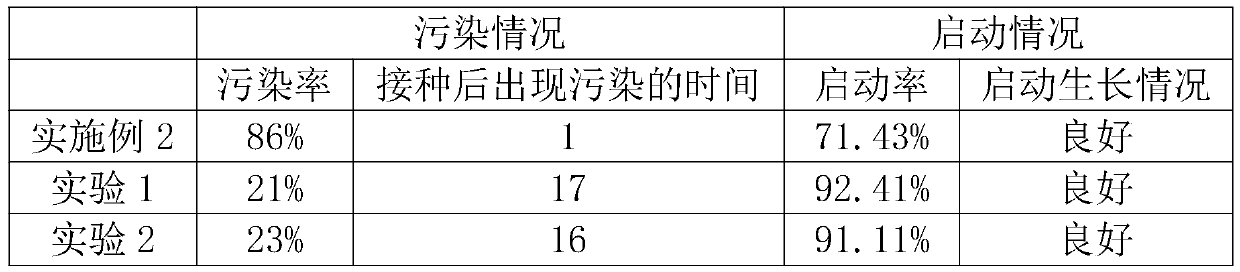 Sterilization method for increasing tissue culture starting rate of Litsea coreana Levl. var. lanuginose (Migo) Yanget P. H. Huang explants