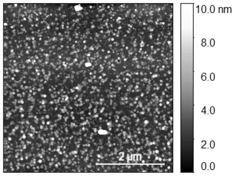 A silicon photocathode modified by an amorphous molybdenum sulfide film and its preparation method