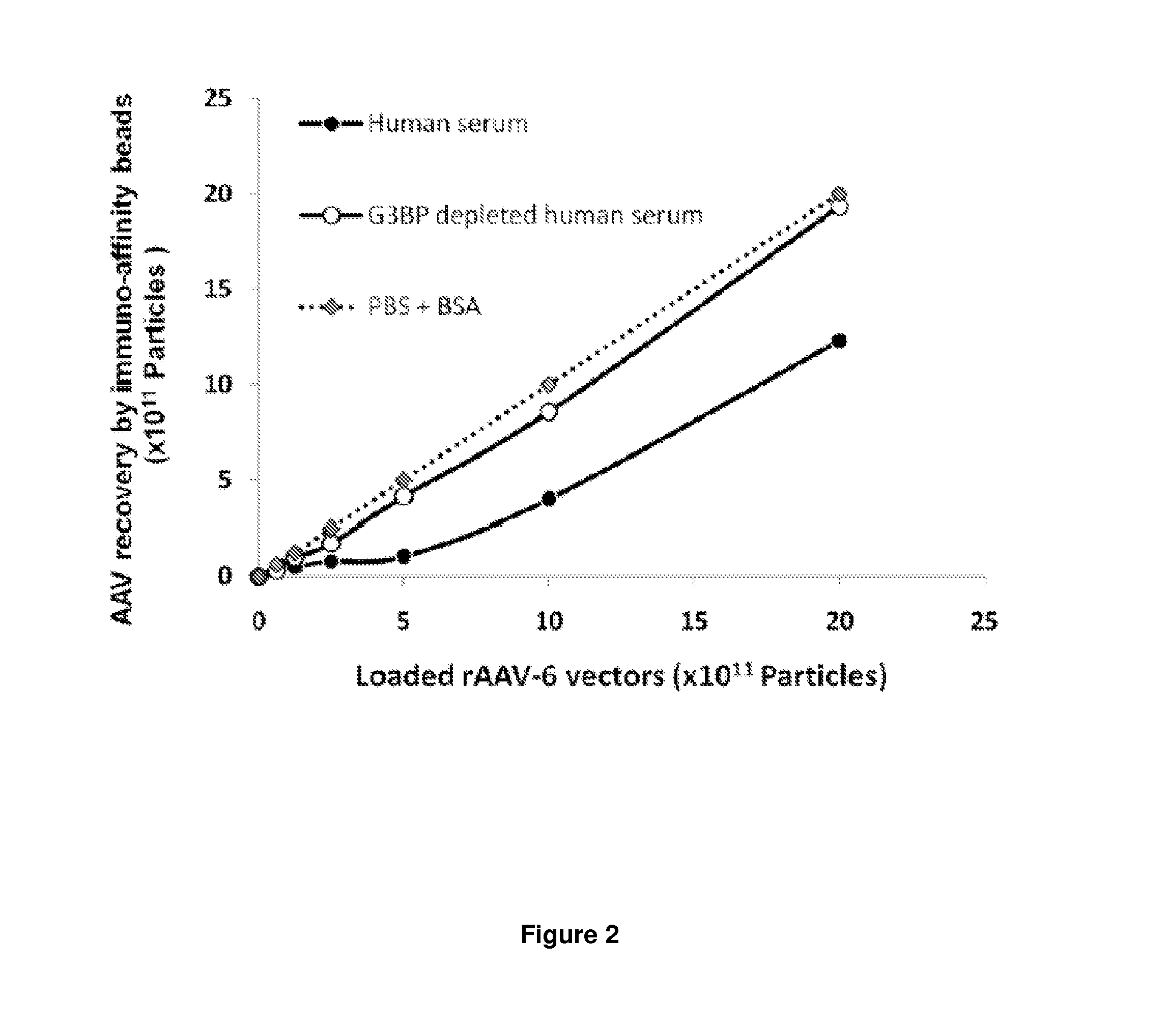 Methods of increasing efficiency of vector penetration of target tissue